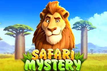 mm11 ဘင်ဂို ကစားနည်း လမ်းညွှန် မြန်မာ Online Bingo လေ့လာရန်
